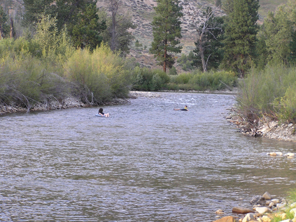 36 Cookie&Jaden Tubing